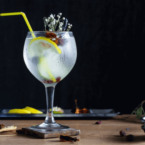 Receita de drink com gin